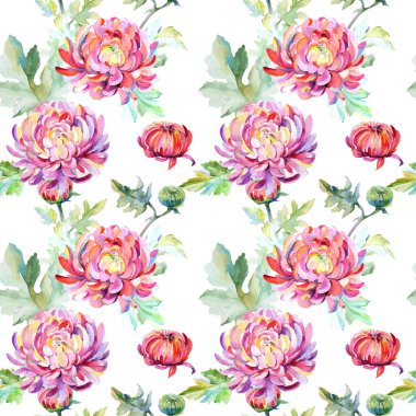 Kır çiçeği krizantem çiçek deseni suluboya tarzında.