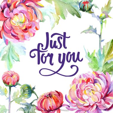 Kır çiçeği Kasımpatı çiçeği çerçeve suluboya tarzında.