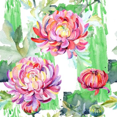 Kır çiçeği krizantem çiçek deseni suluboya tarzında.