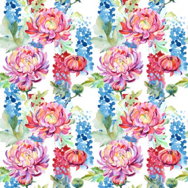 Kır çiçeği krizantem çiçek deseni suluboya tarzında.