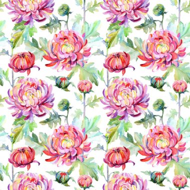 Kır çiçeği krizantem çiçek deseni suluboya tarzında.