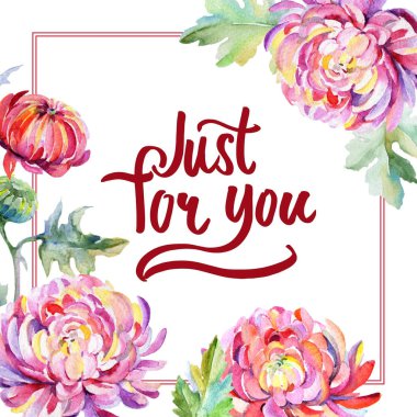 Kır çiçeği Kasımpatı çiçeği çerçeve suluboya tarzında.