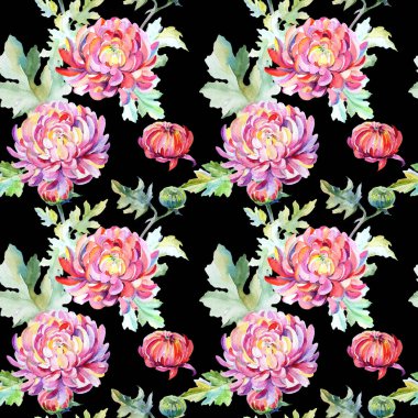 Kır çiçeği krizantem çiçek deseni suluboya tarzında.