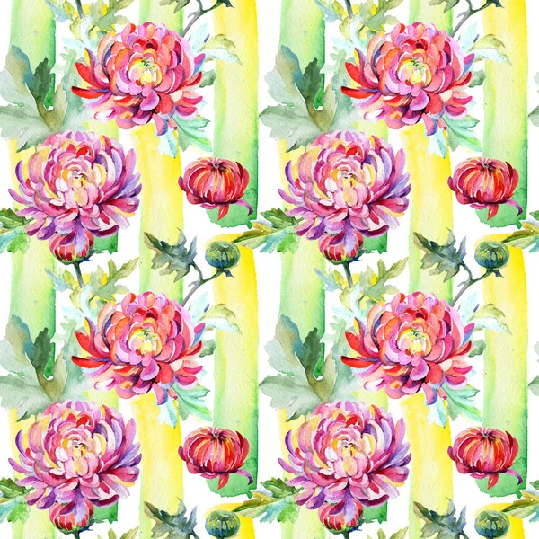 Wildflower chrysanthemum flower pattern in a watercolor style.