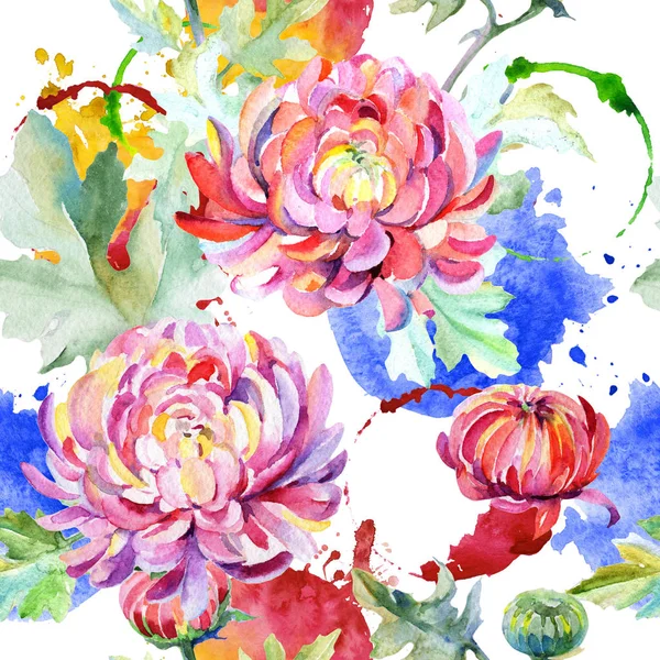 Padrão de flor de crisântemo de flores silvestres em um estilo aquarela . — Fotografia de Stock