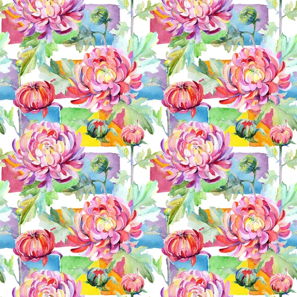 Wildflower chryzantéma květinový vzor ve stylu akvarelu. — Stock fotografie