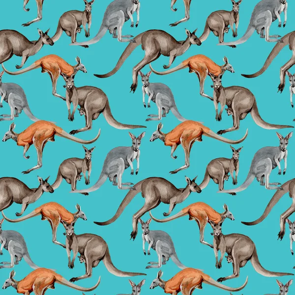 Egzotikus kenguru vadon élő állatok minta akvarell stílusú. — Stock Fotó