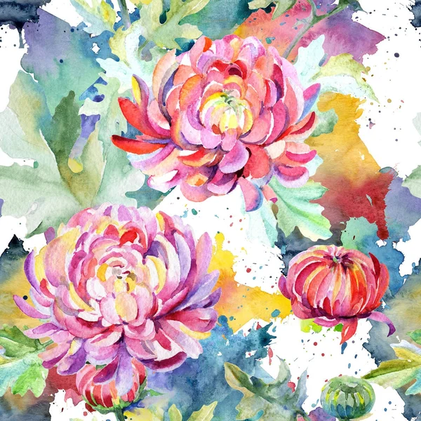 Chrysanthemen-Blütenmuster im Aquarell-Stil. — Stockfoto