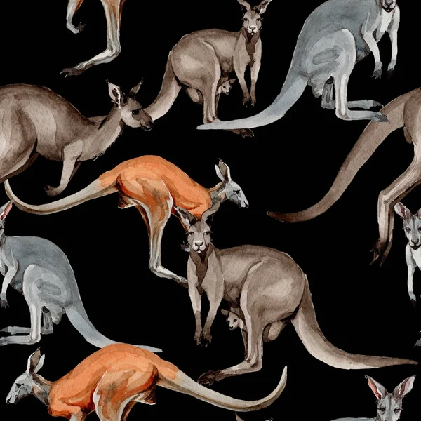 Екзотичний візерунок диких тварин кенгуру в акварельному стилі . — стокове фото