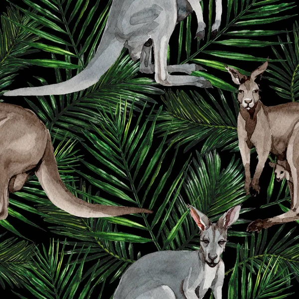 Egzotikus kenguru vadon élő állatok minta akvarell stílusú. — Stock Fotó