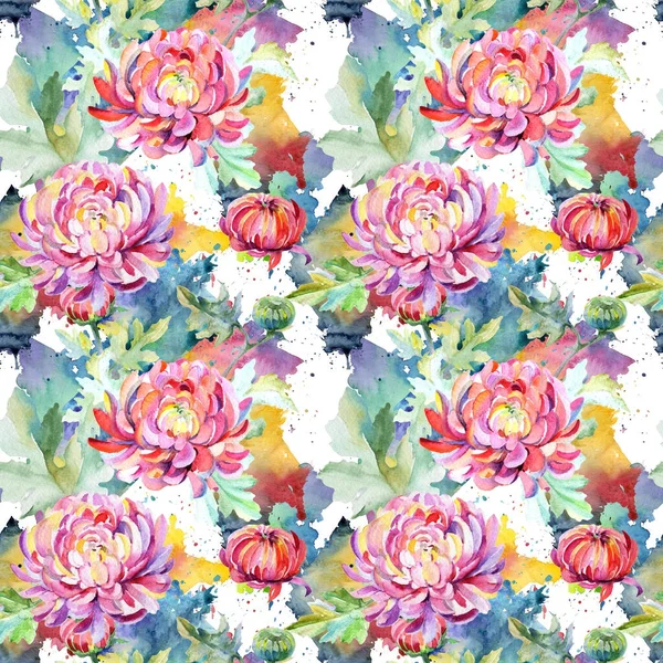 수채화 스타일에서 플라워 국화 꽃 패턴. — 스톡 사진