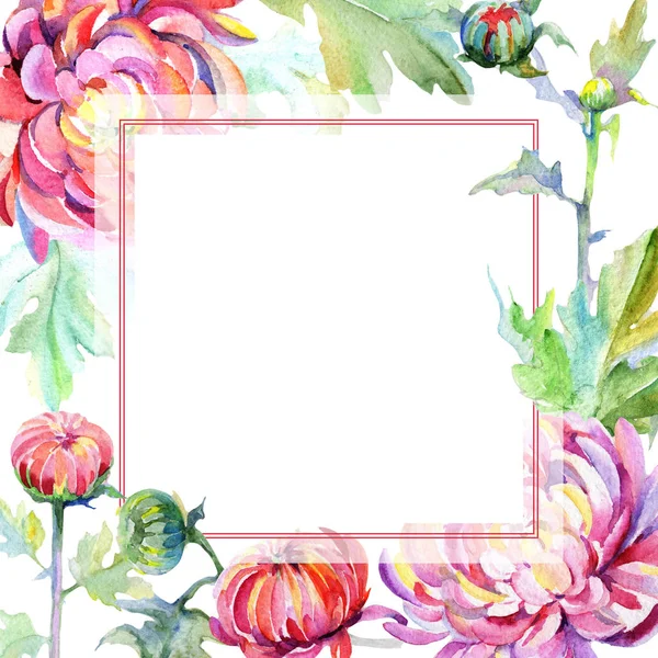 Цветочная рамка из диких цветов хризантемы в акварельном стиле . — стоковое фото