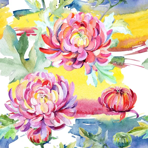 Wildflower chrysant bloemenpatroon in een aquarel stijl. — Stockfoto