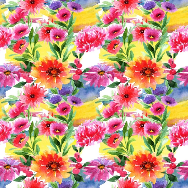 Wildflower aster flower pattern in a watercolor style. — Stock Photo, Image