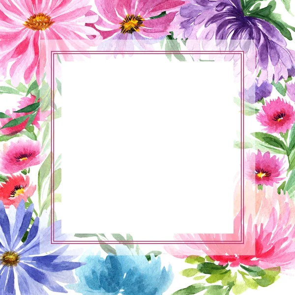 Wildflower aster flower frame in a watercolor style.