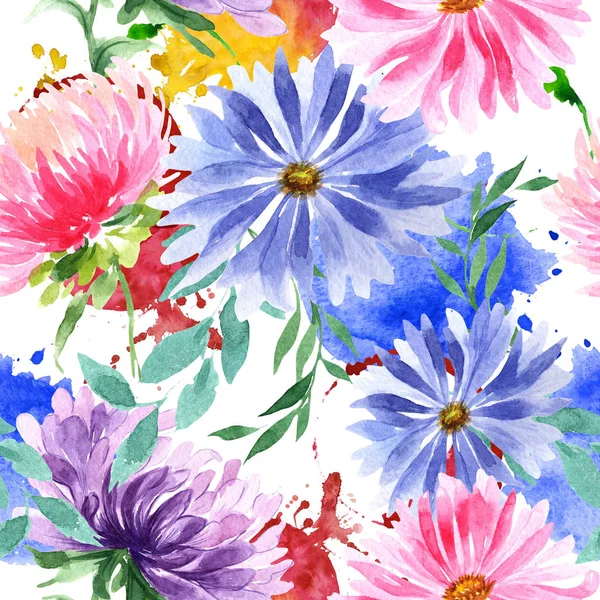 Wildblumen-Aster-Blumenmuster im Aquarell-Stil. — Stockfoto