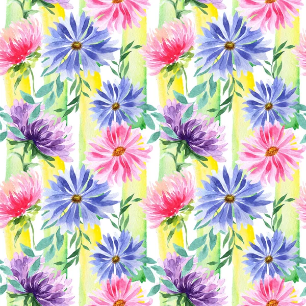 Wildflower aster flower pattern in a watercolor style. — Stock Photo, Image