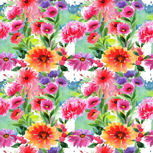 Wildflower aster flower pattern in a watercolor style. — Stock Photo, Image