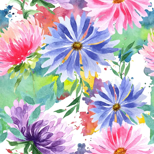 Wildblumen-Aster-Blumenmuster im Aquarell-Stil. — Stockfoto