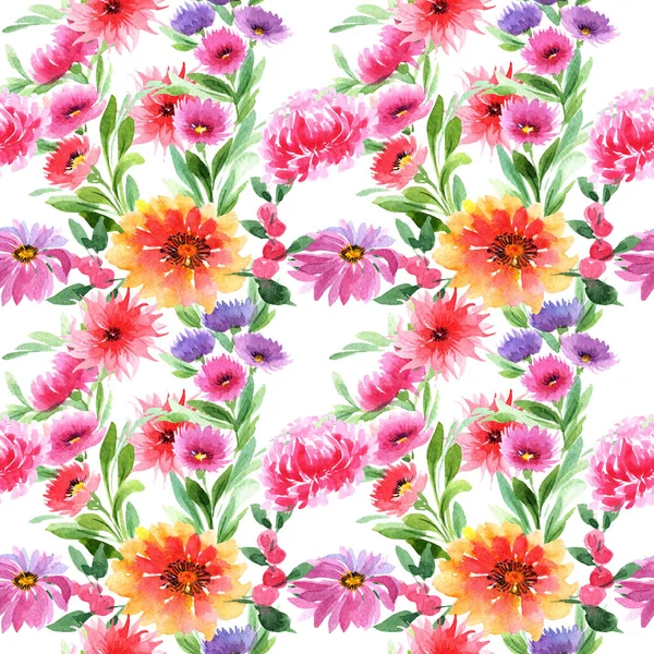 Vadvirág aster virágmintás akvarell stílusú. — Stock Fotó