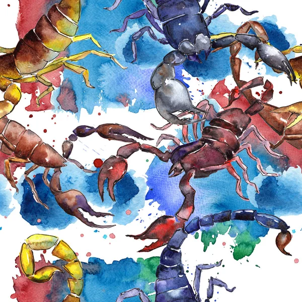 Exotische scorpion wild insect patroon in een aquarel stijl. — Stockfoto