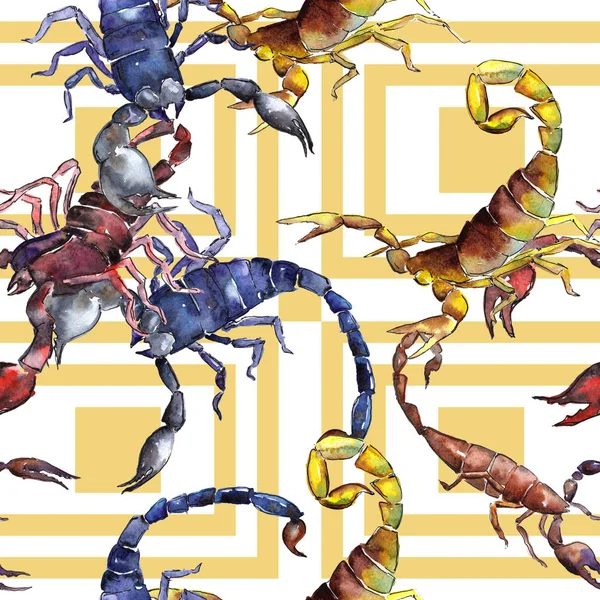 Exotic scorpion wild insect pattern in a watercolor style. — Stock Photo, Image