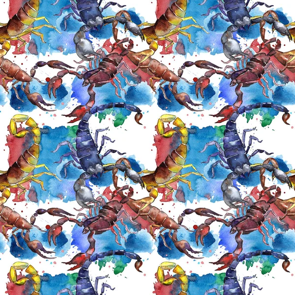 Exotic scorpion wild insect pattern in a watercolor style. — Stock Photo, Image