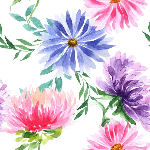 水彩画のワイルドフラワー アスターの花のパターン. — ストック写真