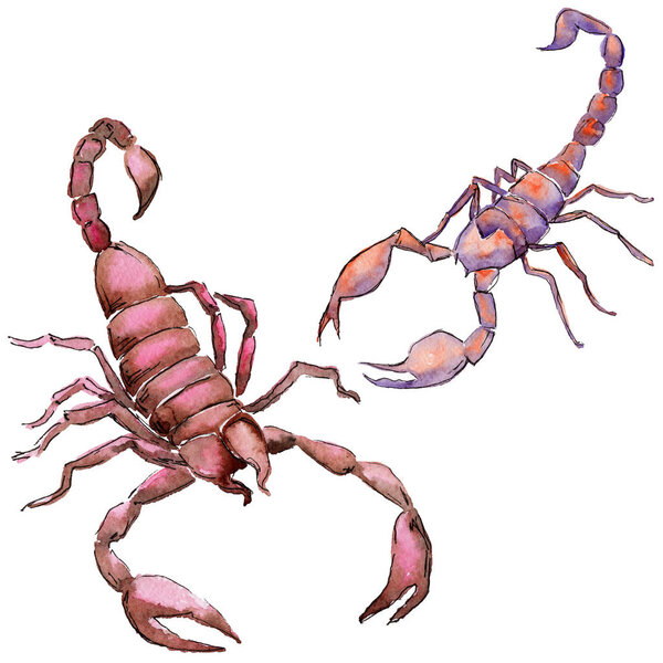 Экзотические скорпионы дикие насекомые в акварельном стиле изолированы
.