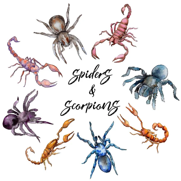Exotiska scorpion vilda insekt i akvarell stil isolerade. — Stockfoto