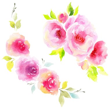 Kır çiçeği eustoma çiçek izole bir suluboya tarzında.