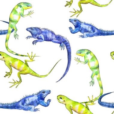 Egzotik Iguanas desen 