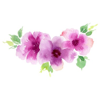 Kır çiçeği eustoma çiçek izole bir suluboya tarzında.