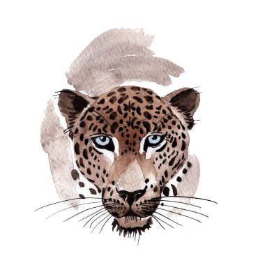 Suluboya tarzında egzotik leopar 