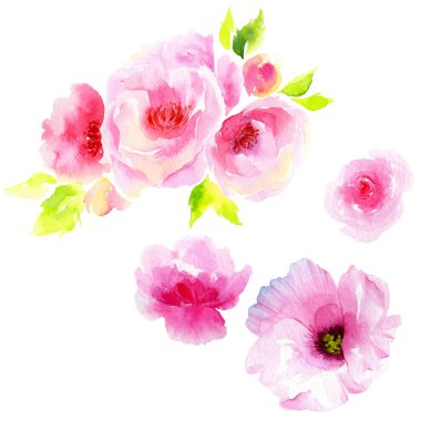 Kır çiçeği eustoma çiçek izole bir suluboya tarzında.