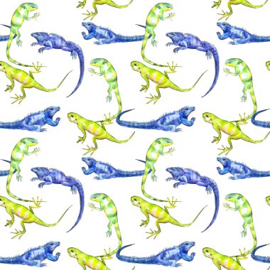 Egzotik Iguanas desen 