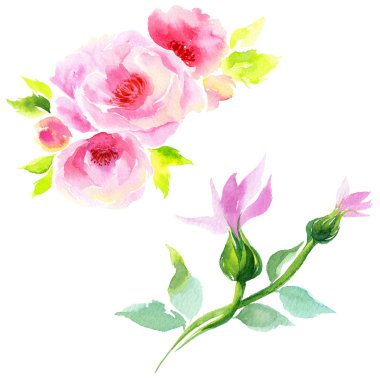 Eustoma flowere suluboya tarzında