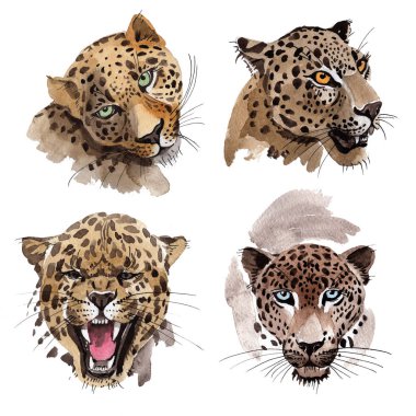 Suluboya tarzında egzotik leopar 