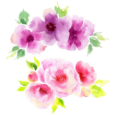 Kır çiçeği eustoma çiçek izole bir suluboya tarzında.