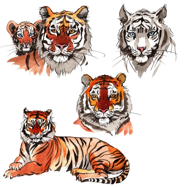 Tigre exotique dans un style aquarelle — Photo