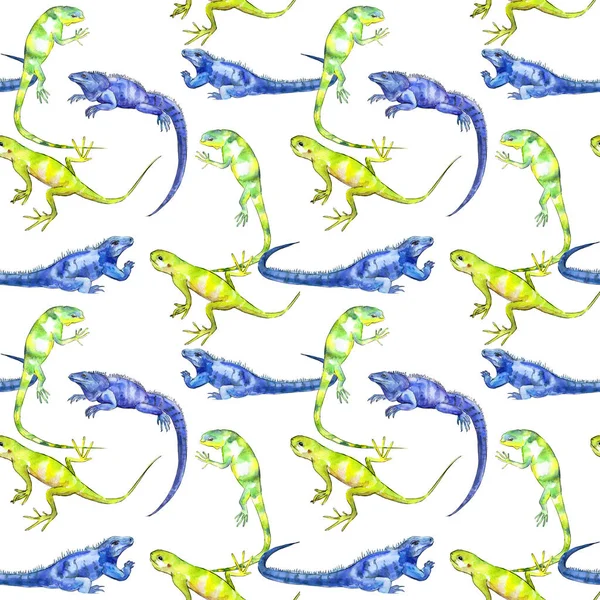Exotic iguanas pattern — Stock Photo, Image