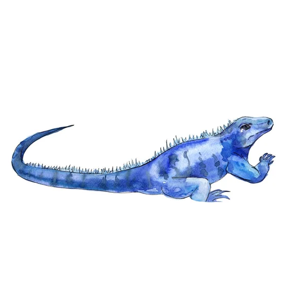 Iguana exótica em um estilo aquarela — Fotografia de Stock