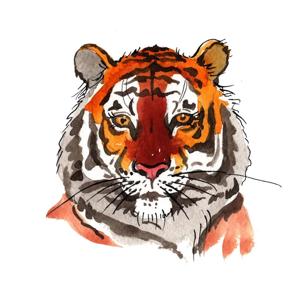 Exotic tiger in a watercolor style — Stock Photo, Image