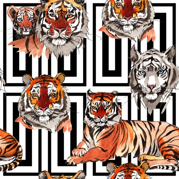 Экзотические тигры — стоковое фото
