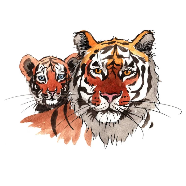 Exotische tiger in een aquarel stijl — Stockfoto