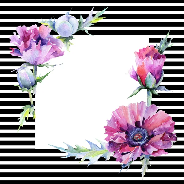 Poppy flowers frame — Stock Photo, Image