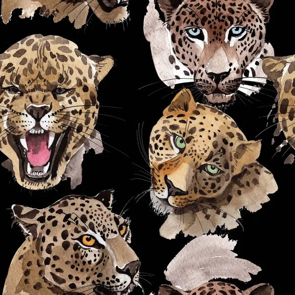 Экзотические леопарды — стоковое фото