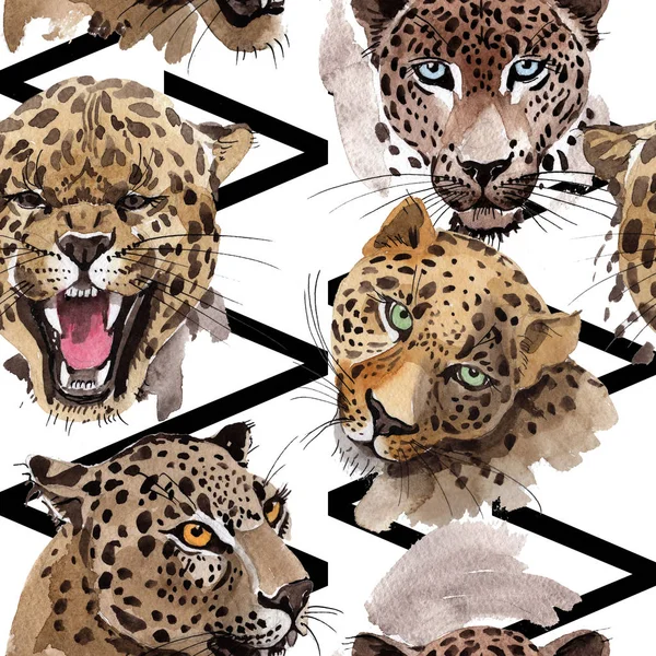 Exotic leopards pattern — Stock Photo, Image