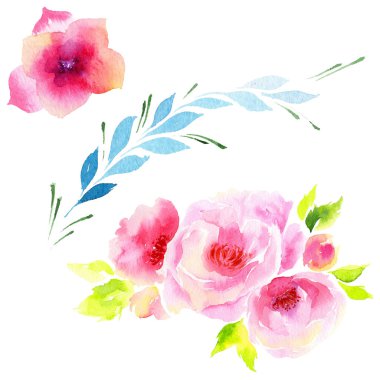 Kır çiçeği eustoma çiçek izole bir suluboya tarzında.