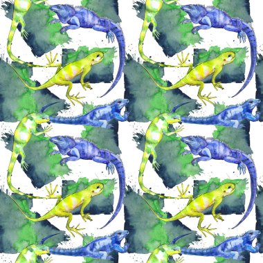 Egzotik Iguanas desen 